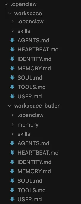 missing-memory-folder